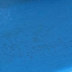 Meet your Posher, Lydia